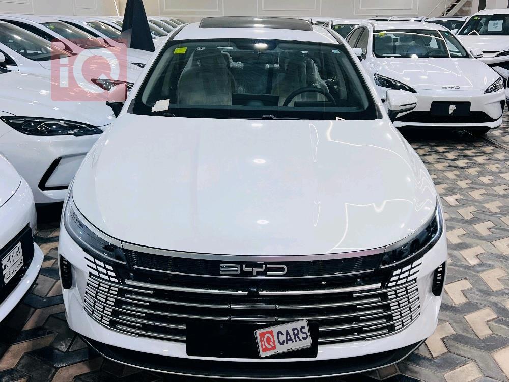 بي واي دي ديستروير 05